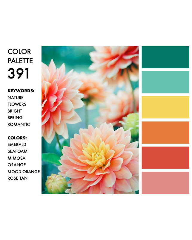 Color palette 391 is taken from a snapshot of dahlias in pastel tones. The keywords are: nature, flowers, bright, spring, romantic. The colors are emerald, seafoam, mimosa, blood orange and rose tan.