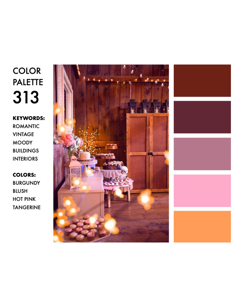 Color Palette 313 from the Color Cube. Keywords: Romantic, vintage, moody, buildings, interior. Colors: Burgundy, maroon, mauve, pink and orange.