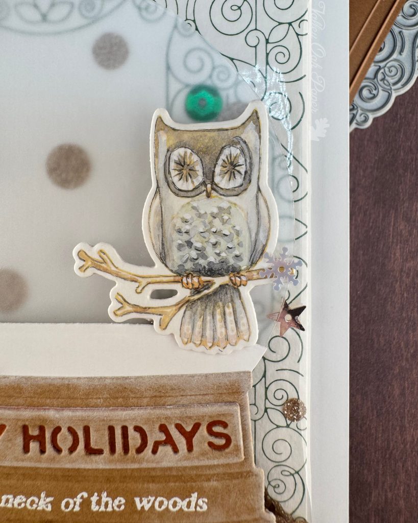 Closeup of a handmade holiday card with a shaker element taking up most of the front. The shaker is filled with green sequins and champagne glitter discs. The background is an intricate pattern of symmetrical green swirls. 

The closeup focuses on a watercolored owl. 